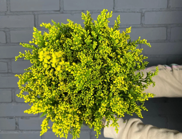 На складе новое поступление! Срезанные цветы